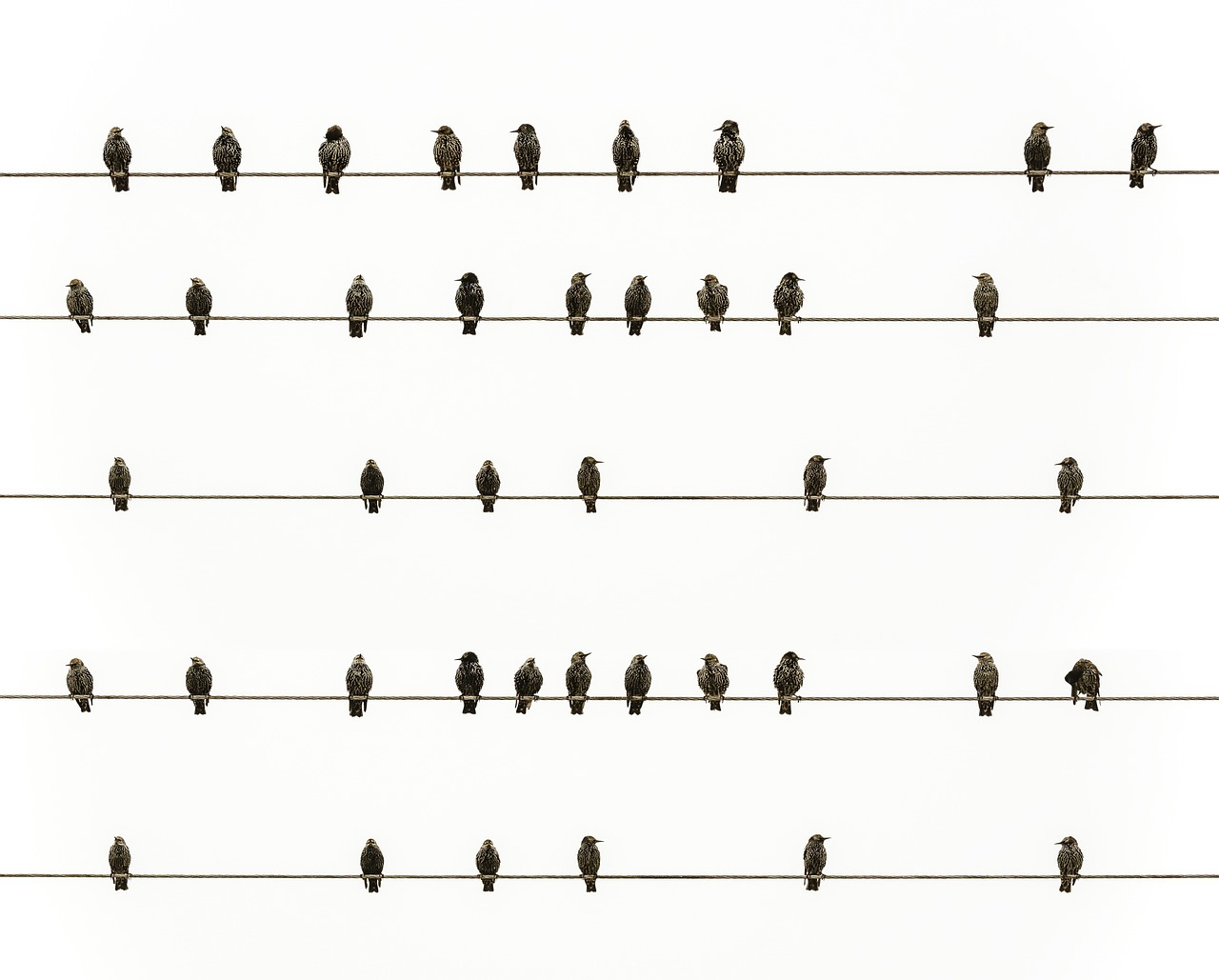 Il diritto di essere me –                  la newsletter di marzo