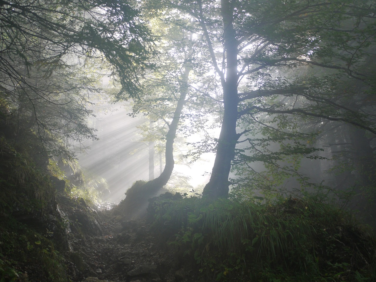 Natural sound –                  la newsletter di aprile